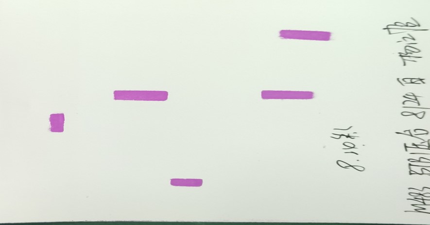 SPI壓敏紙在ACF工藝中點檢設備高清晰顯示